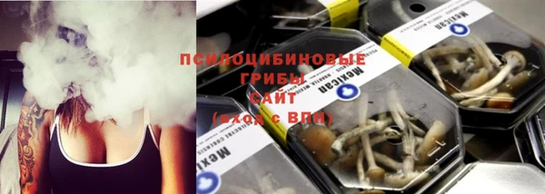 мет Арсеньев