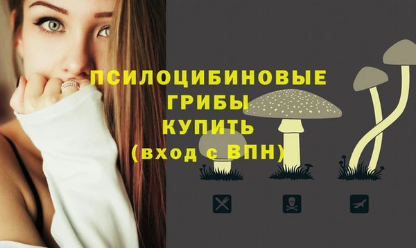 apvp Аркадак