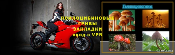 apvp Аркадак