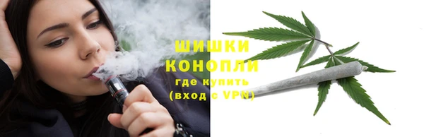 apvp Аркадак