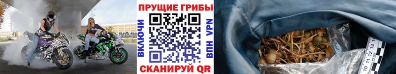 Псилоцибиновые грибы Magic Shrooms  omg зеркало  Сорск 